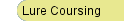 Lure Coursing